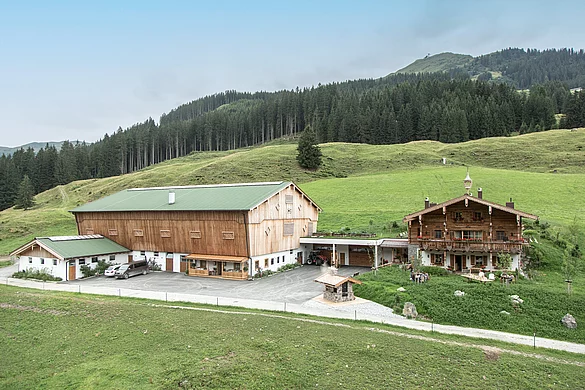 Bauernhof und Landwirtschaft, Hotel Unterschwarzachhof in Saalbach Hinterglemm