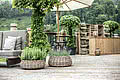 Pflanzen auf der Terrasse vom Restaurant der Schwarzacher in Saalbach Hinterglemm